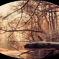 عبدالرحمن فوزى