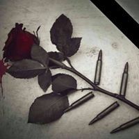 محمد المطلق