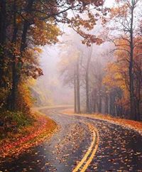 جيهان صوالحية