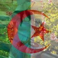 لطيفة بن جلول