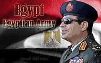 هاجر الالفى