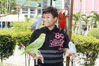 Amir Shafiq