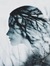 Blue Bird