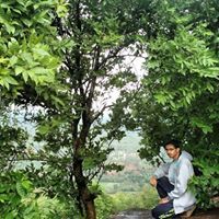 Vishwanath MK