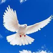 Надія Попова