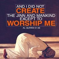 Mohammed Rawoof Ahmed