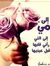 Amr Ahmed