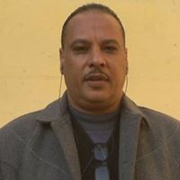 سيد القناوي