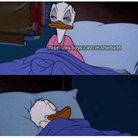 احمد الحجامي