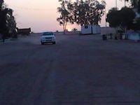 مصطفى صيدون