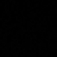 รัตภูมิ ลีลาภรณ์