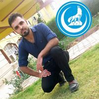 علي التركماني