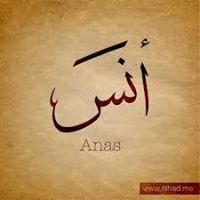 Anas Abo Soubh