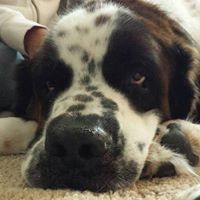 Nancy Cerny Williams