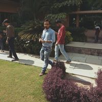 Mohsin Dal