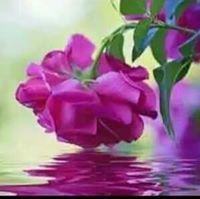Boussy Ahmed