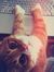 Hafsa S...