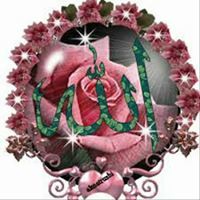 سدرة المنتهى