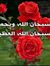 Razan Abdi