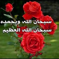 Razan Abdi