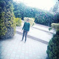 محمد الحوفى