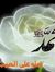 Farheen...