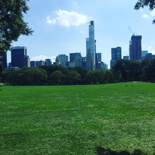 محمد الدريويش