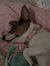Kelle M...
