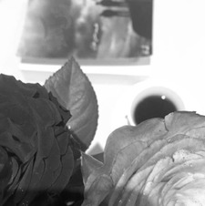 فاطمه عبدالله