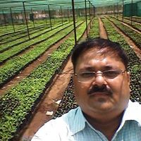 rajdeep khade