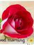 Rishabh...