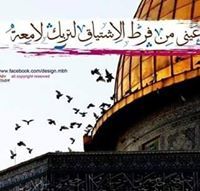 بسام أمير بسام