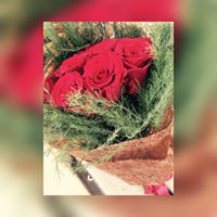 MajdOolean Alhawary
