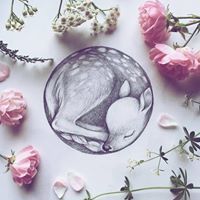 Phúc Lê Phùng Ngọc