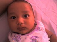 หนามเตย เลบานอน