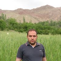 Mohsen Jafa