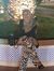 Mona Nabil