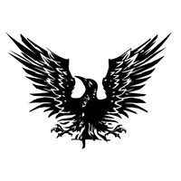 ইশফাক রোকনী