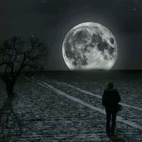 محمد السناني