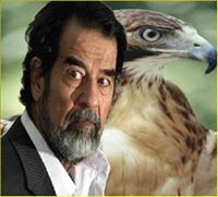 عصام المزجاجي