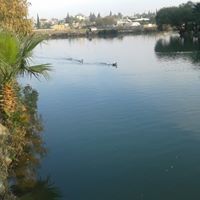 آمنة هادي