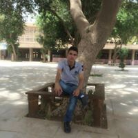 فرزدق التميمي