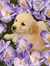 Thangam...