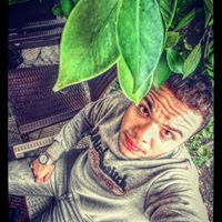 Mahmoud Ali