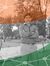 Rajib S...