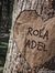 Rola Adel