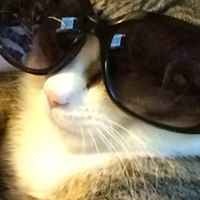 Merideth Holder-Evans