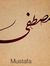 مصطفى م...