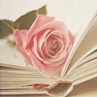 سمية أم عمار