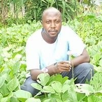 متولي الشعراوي